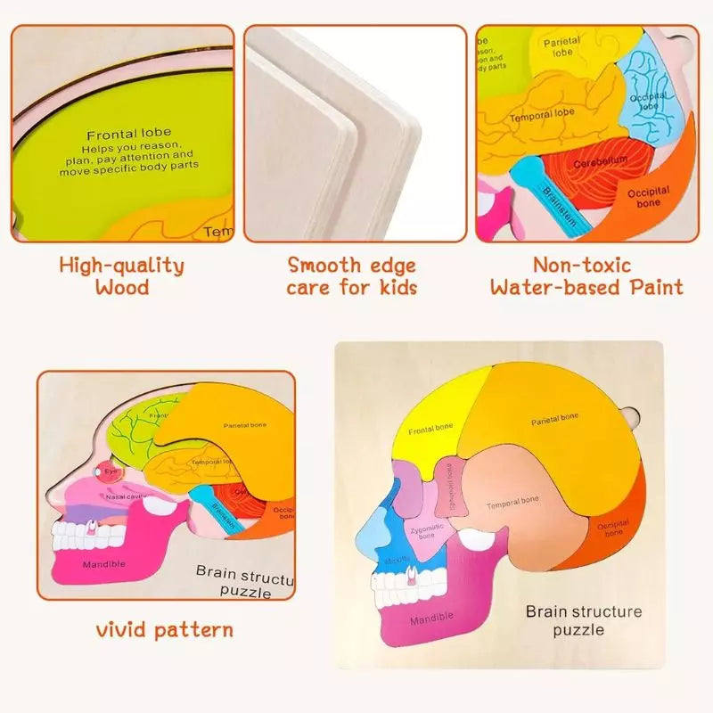 Montessori Toy Human Body Puzzle Board 02