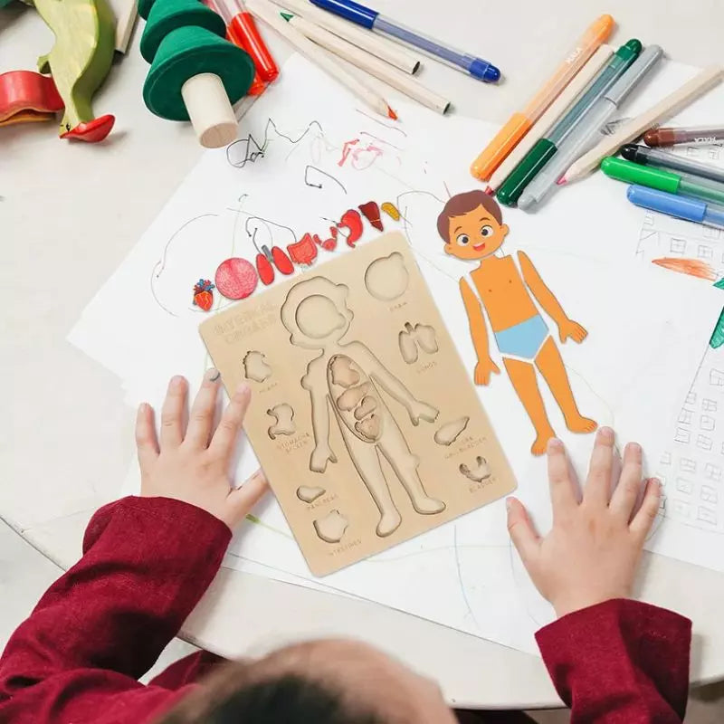 Montessori Toy Human Body Puzzle Board UK