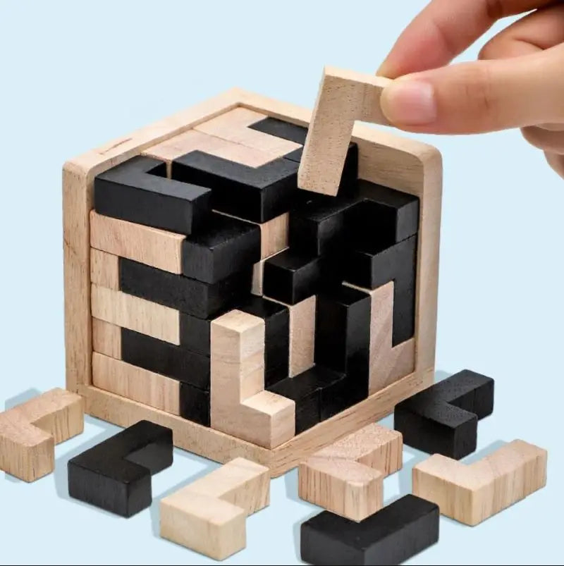 Luban Logic Cube: 3D Wooden Puzzle for Bright Young Minds