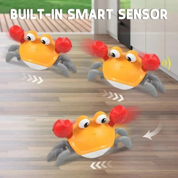 Sensory Toys Crab & Octopus Baby Play Set 05