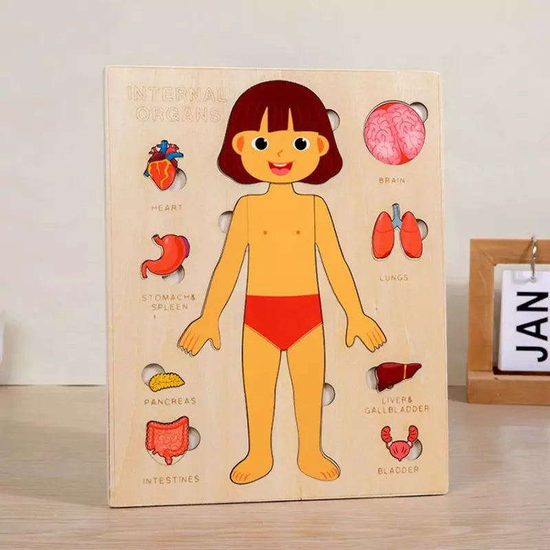 MONTESSORI WOODEN TOY