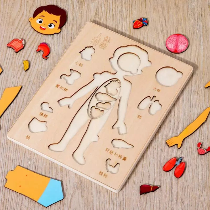 Montessori Toy Human Body Puzzle Board 07