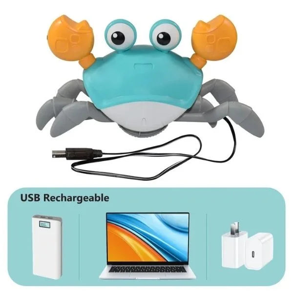 Sensory Toys Crab & Octopus Baby Play Set 09